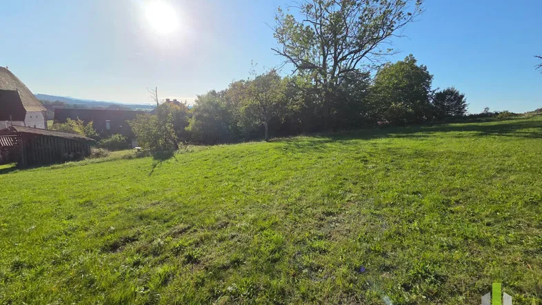 Weitläufige grüne Wiese mit Bäumen und sonnigem Himmel, ideal für Gartenliebhaber.