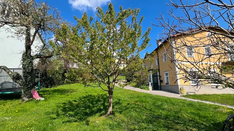 Gepflegter Gartenbereich mit Rasenfläche, Bäumen und einem Schaukelset vor dem Haus.