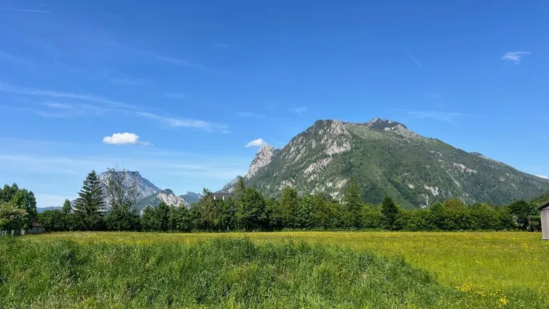 Weitläufige grüne Wiesen mit majestätischen Bergen im Hintergrund unter blauem Himmel.
