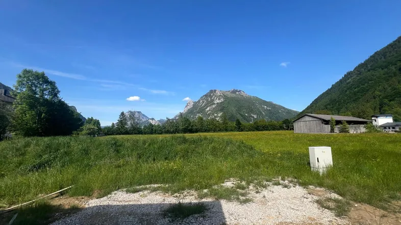Weite grüne Wiese mit majestätischen Bergen im Hintergrund unter strahlend blauem Himmel.