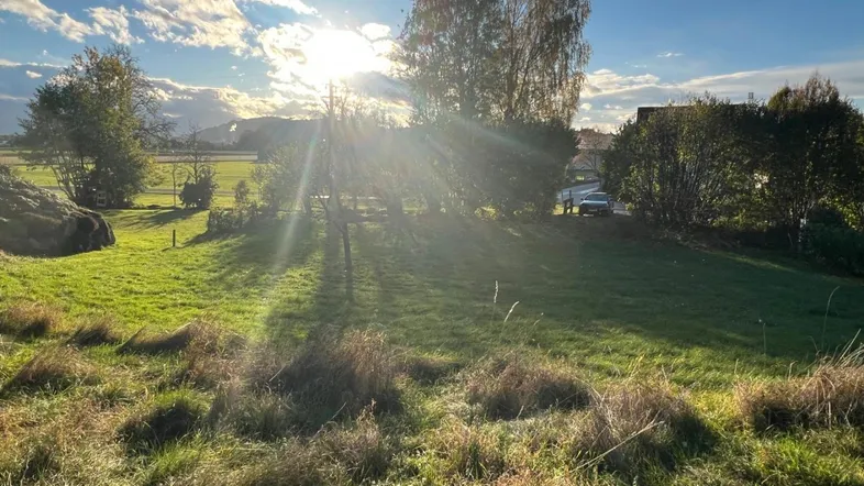 Sonniger Gartenbereich mit grüner Rasenfläche und Bäumen, umgeben von ländlicher Natur.