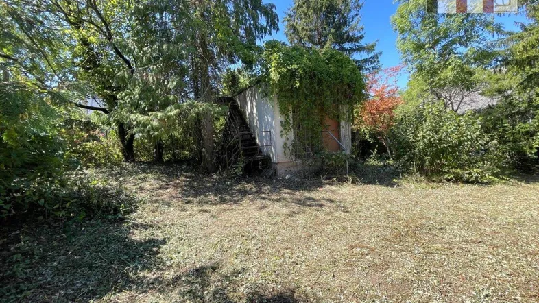 Verwilderter Gartenbereich mit altem Schuppen und üppiger Vegetation unter blauem Himmel.