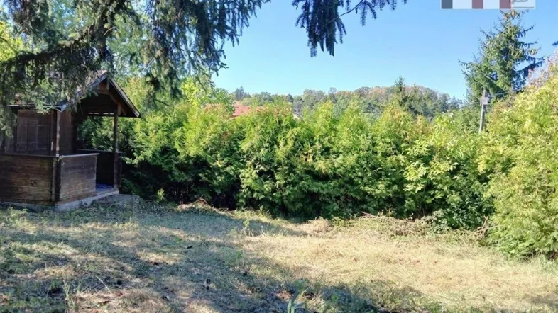 Großer Gartenbereich mit einer kleinen Holzhütte und viel Grün, umgeben von Bäumen.