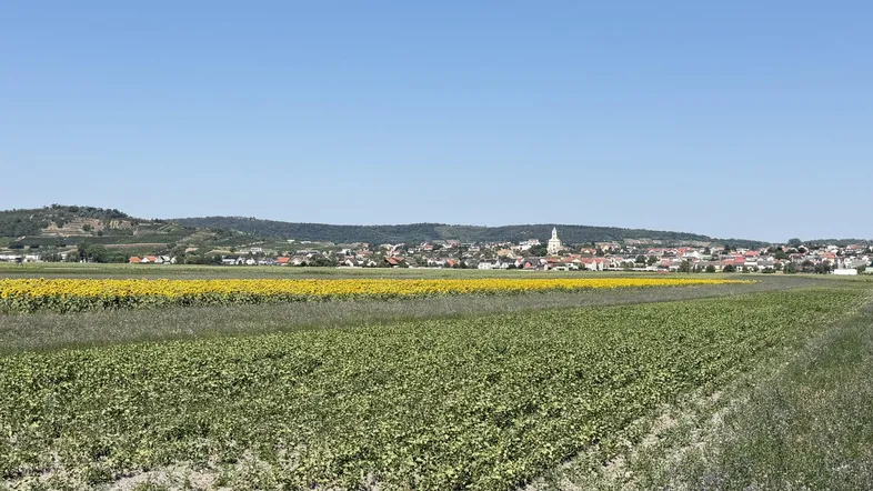 Weite Landschaft mit Feldern, einem Dorf in der Ferne und einem klaren blauen Himmel.