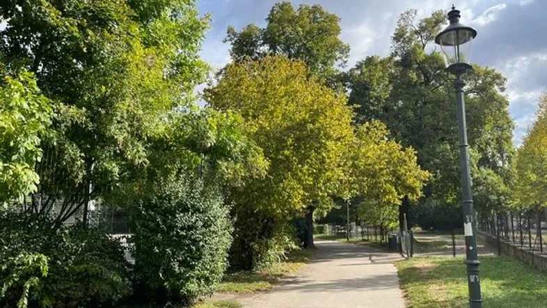Grüner Parkweg mit alten Bäumen und einer klassischen Straßenlaterne unter bewölktem Himmel.
