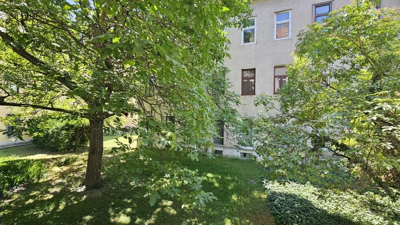Grüner Innenhof mit altem Baumbestand und Blick auf die Gebäudefassade.
