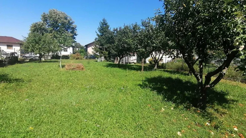 Grüner Garten mit Obstbäumen und Rasenfläche unter blauem Himmel an einem sonnigen Tag.