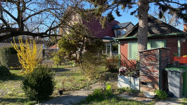Gartenbereich mit altem Baumbestand und einem Teil des Hauses unter blauem Himmel.
