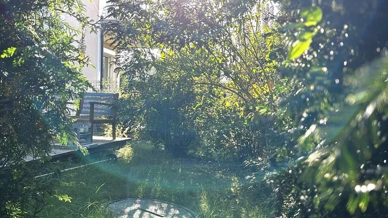 Sonniger Gartenbereich mit üppiger Bepflanzung und Blick auf das Gebäude.