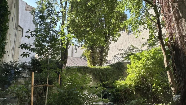 Üppiger grüner Garten mit verschiedenen Pflanzen und Bäumen, umgeben von Gebäudewänden.