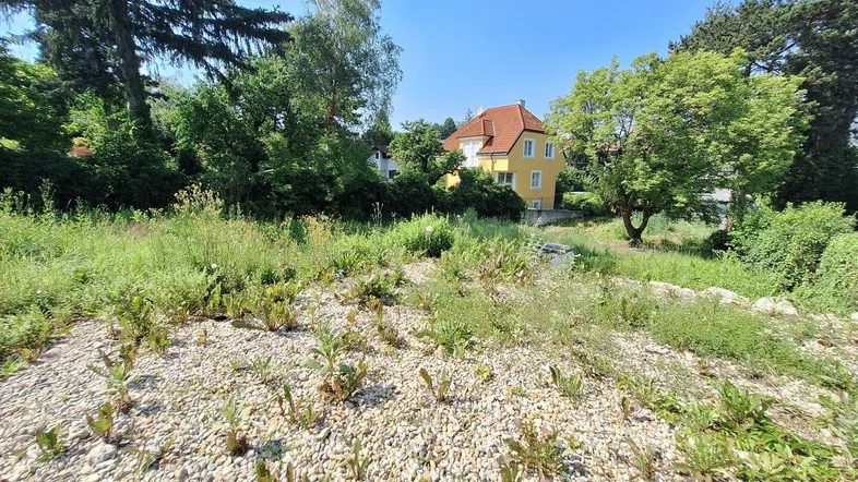 Unbebautes Grundstück mit leichter Hanglage und einem Haus im Hintergrund unter blauem Himmel.