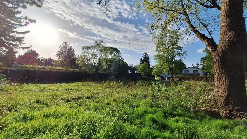 Weitläufiges Grundstück mit grüner Wiese und Bäumen unter blauem Himmel.