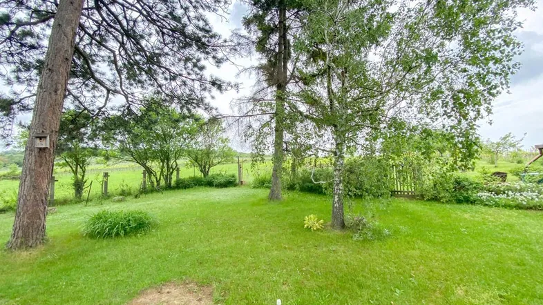 Grüner Gartenbereich mit Rasenfläche und hohen Bäumen, umgeben von Natur.