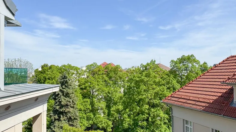 Blick auf grüne Bäume und Dächer von umliegenden Gebäuden unter blauem Himmel.