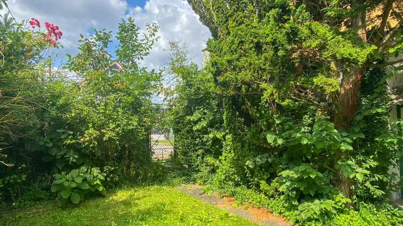 Überwachsener Gartenweg führt durch dichtes Grün zu einem Tor unter blauem Himmel.