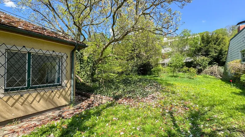 Großer, naturbelassener Gartenbereich mit Rasenfläche, Bäumen und Blick auf die Hausfassade.