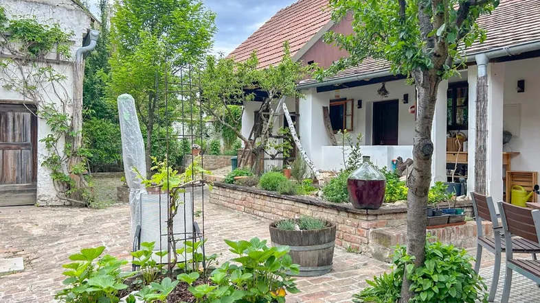 Gemütlicher Innenhof mit Ziegelpflaster, verschiedenen Pflanzen und Sitzgelegenheiten im Freien.
