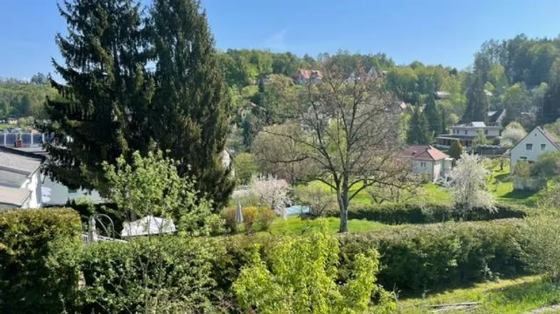 Weitläufiger Blick ins Grüne mit Bäumen, Häusern und einem Pool in der Ferne.