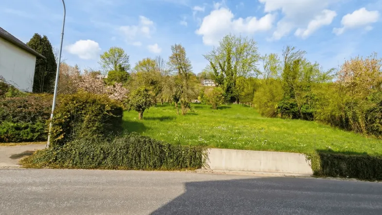 Grünes Grundstück mit leichter Hanglage und Bäumen unter blauem Himmel.