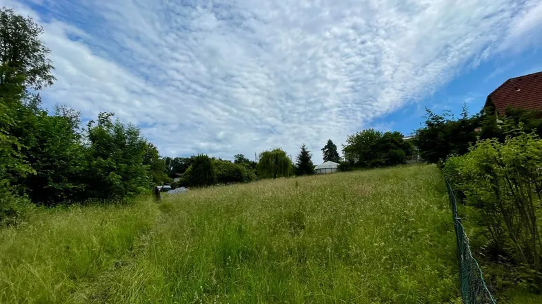 Weitläufige grüne Wiese unter blauem Himmel mit vereinzelten Bäumen und einem Hausdach im Hintergrund.