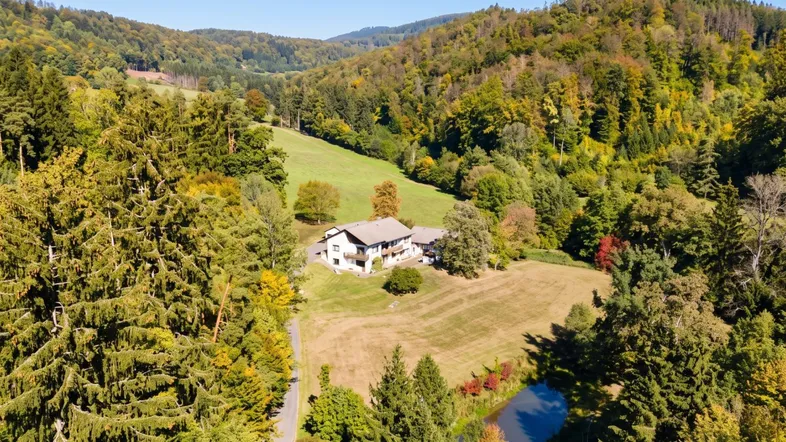 Garten mit Fischteich