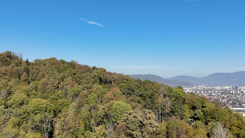 Luftaufnahme eines bewaldeten Hügels mit Blick auf eine entfernte Stadt unter blauem Himmel.