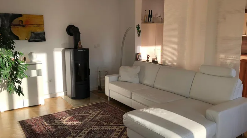 Helles Wohnzimmer mit modernem Kaminofen, weißem Sofa und Parkettboden, durchflutet von Sonnenlicht.