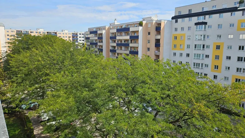 Blick auf die umliegenden Wohngebäude und die üppige grüne Baumlandschaft unter blauem Himmel.