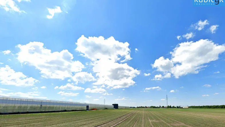 Weites Feld mit junger Bepflanzung und einer langen Gewächshausanlage unter blauem Himmel.