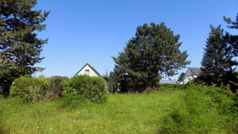 Grüne Wiese mit Büschen und Bäumen, im Hintergrund sind Teile von Wohnhäusern unter blauem Himmel sichtbar.