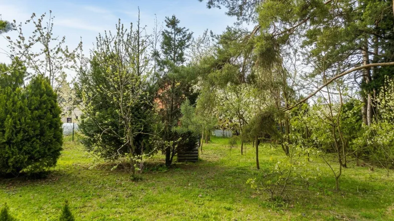 Garten Richtung Süden