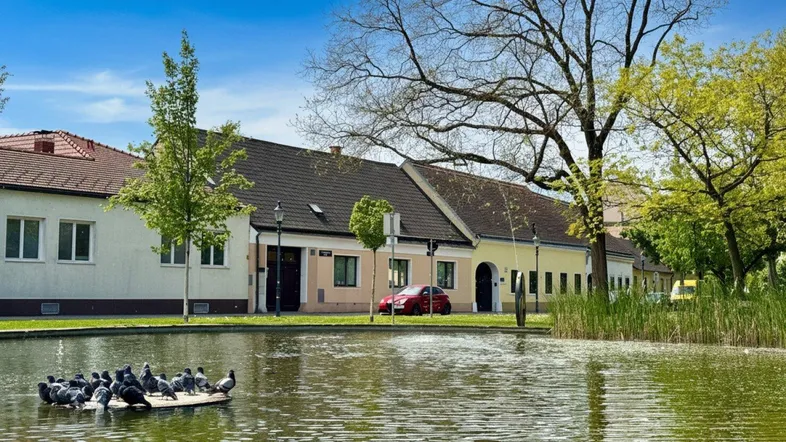Reihe von Häusern entlang eines Teiches mit Bäumen und klarem blauen Himmel.