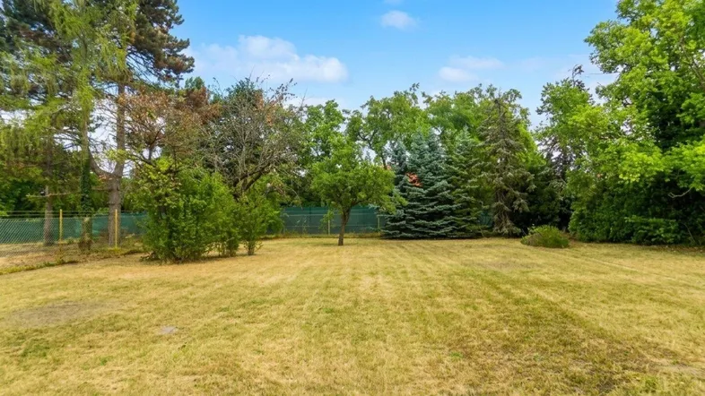 Großer Gartenbereich mit Rasenfläche und verschiedenen Bäumen im Hintergrund unter blauem Himmel.