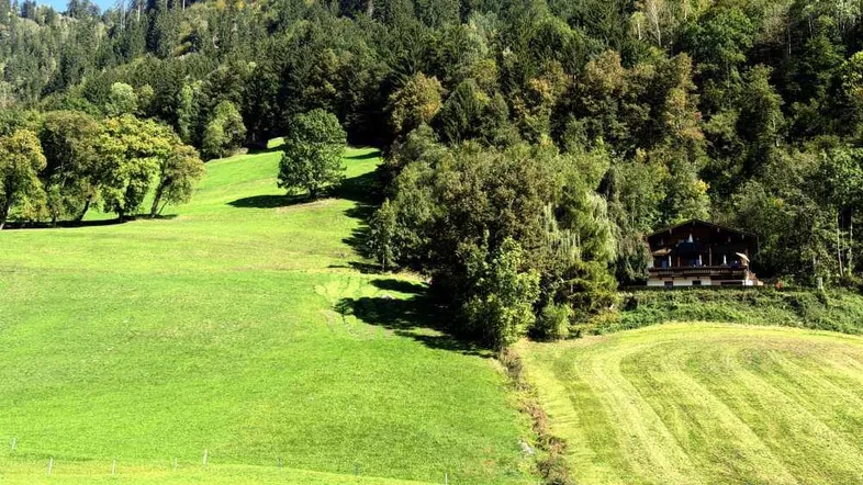 Idyllisches Haus am Hang, umgeben von grünen Wiesen und Wäldern mit Bergblick.