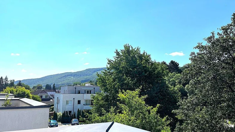 Ausblick