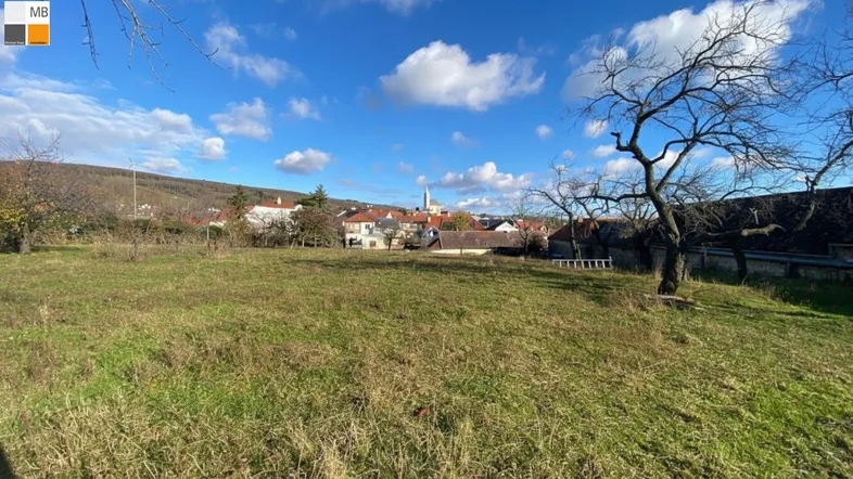 Weitläufiges Grundstück mit grüner Wiese, Bäumen und Blick auf die umliegende Ortschaft.