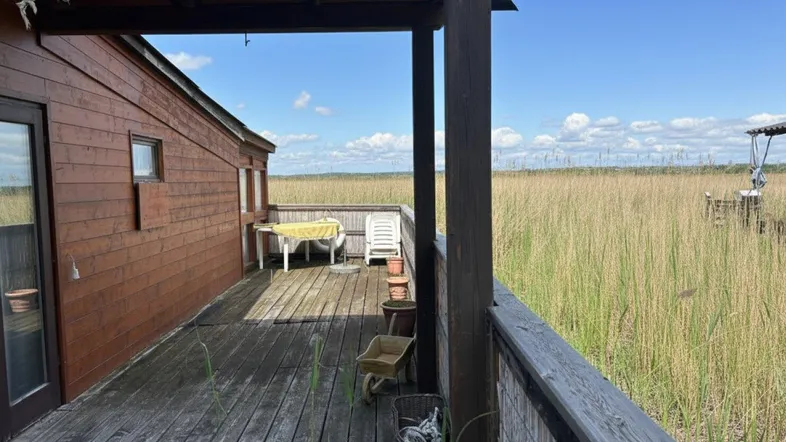 Holzterrasse am Haus mit Blick auf die weite Schilflandschaft unter blauem Himmel.