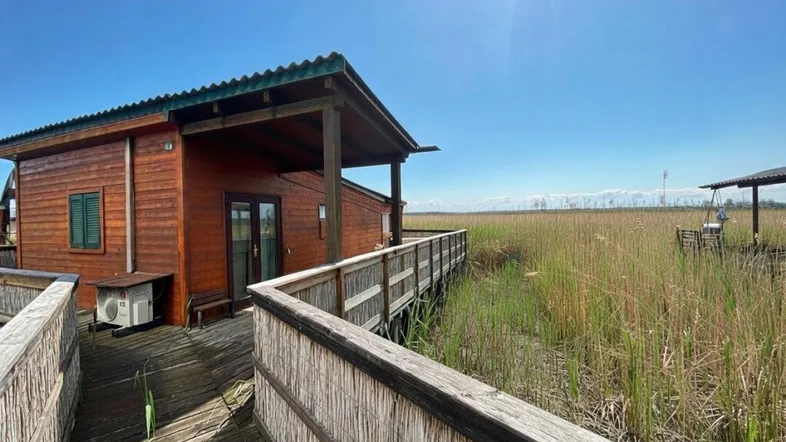 Hölzernes Haus am Wasser mit sonniger Terrasse und Blick auf das Schilf.