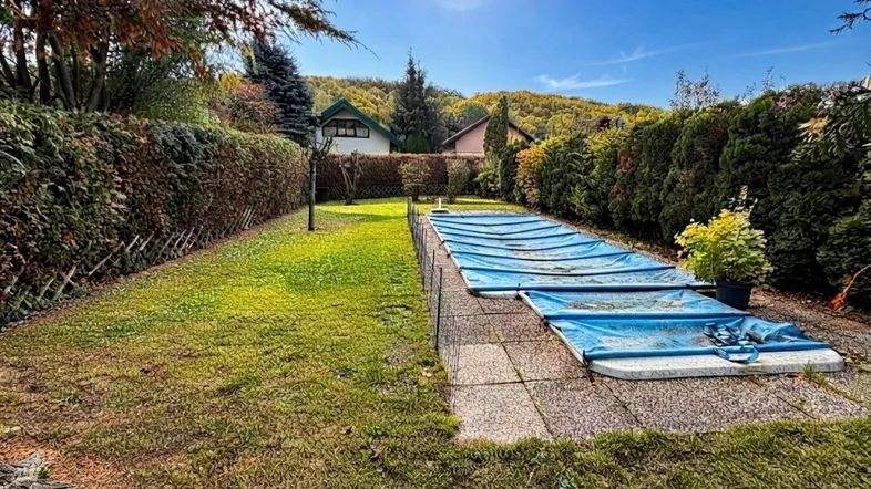Garten und Pool