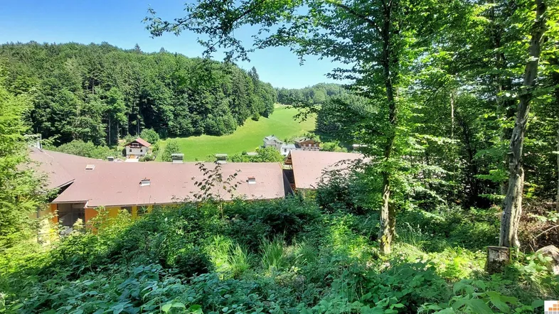 Panoramablick auf ein Anwesen, umgeben von üppigen Wäldern und grünen Hügeln unter blauem Himmel.