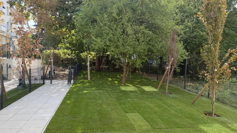 Gepflegter Gartenbereich mit Rasenfläche, Bäumen und einer modernen Holzterrasse.