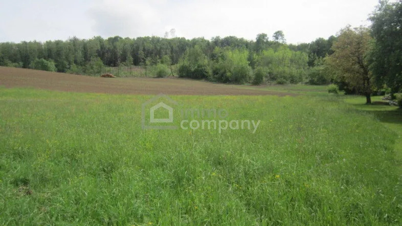 Weitläufige grüne Wiese mit angrenzendem Ackerland und Wald im Hintergrund unter bewölktem Himmel.