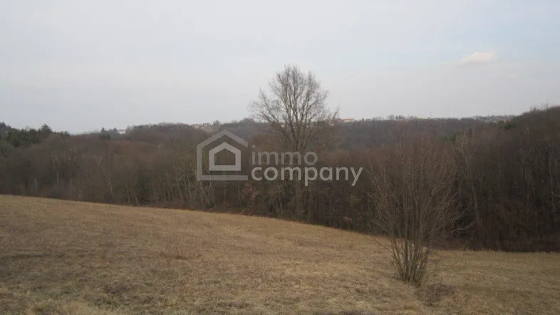 Weitläufiges offenes Feld mit trockener Vegetation und bewaldetem Horizont, ideal für Naturliebhaber.