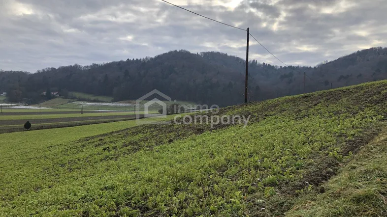 Weitläufige grüne Felder mit bewaldeten Hügeln unter einem bewölkten Himmel, ideal für Naturliebhaber.