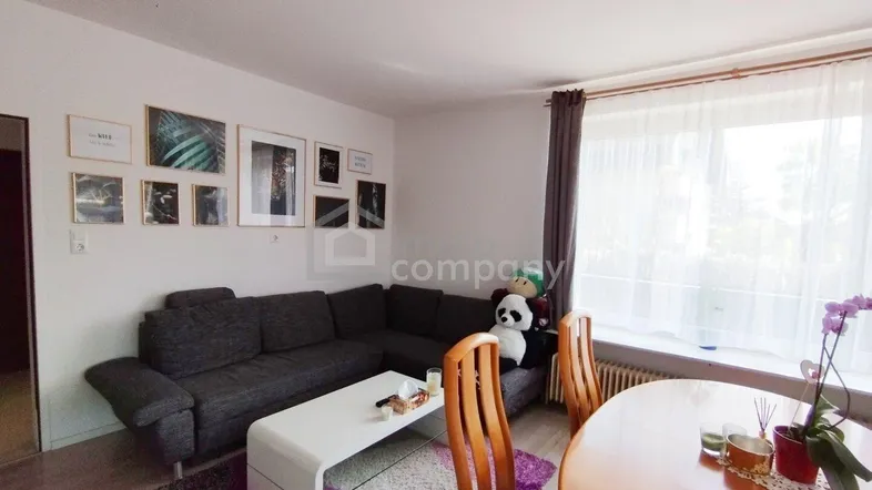 Gemütlicher Wohn-Essbereich mit Sofa, Esstisch und großen Fenstern für viel Tageslicht.