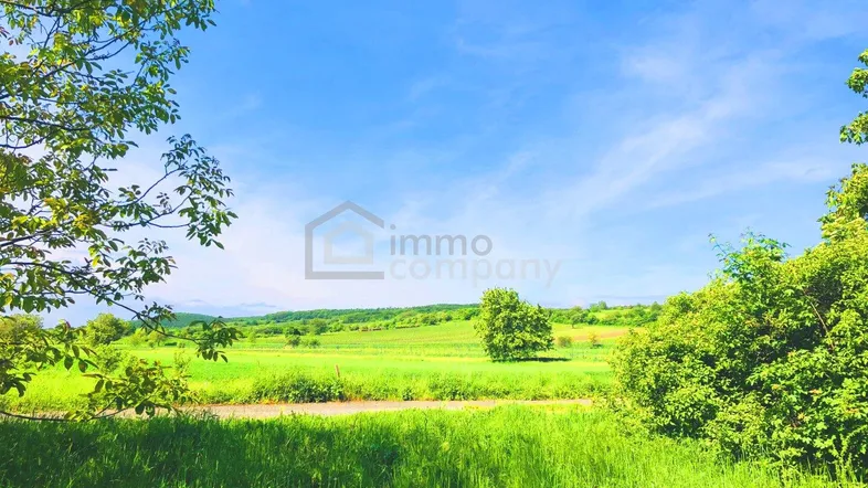 Weite grüne Landschaft mit Bäumen unter einem strahlend blauen Himmel, ideal für Naturliebhaber.