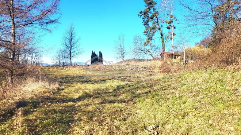 Weitläufiges, sonniges Grundstück mit leichter Hanglage und Baumbestand unter blauem Himmel.