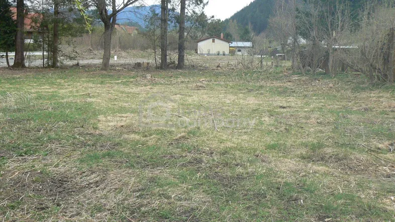 Blick über ein unbebautes Grundstück mit Gras und Bäumen im Hintergrund, umgeben von Natur und Bergen.