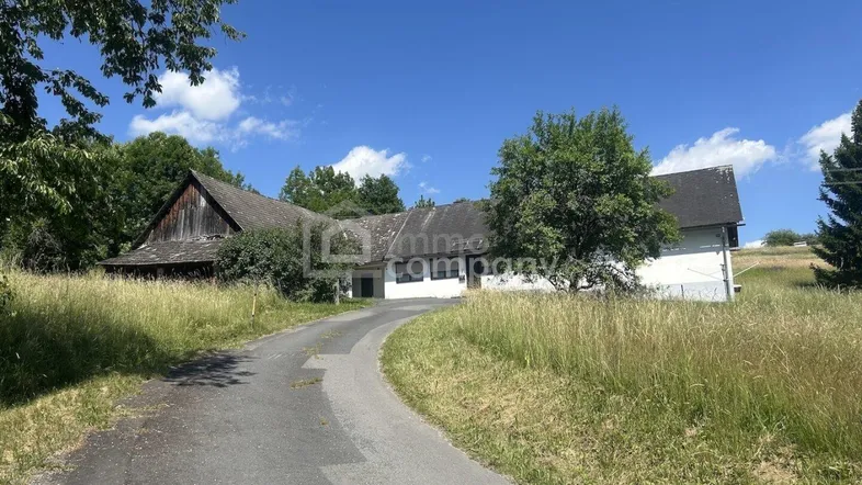 Ländliches Anwesen mit langer Auffahrt, umgeben von hohen Gräsern und Bäumen unter blauem Himmel.