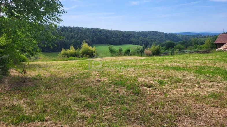 Weitläufiges Grundstück mit grüner Landschaft und Fernblick in die Natur unter blauem Himmel.
